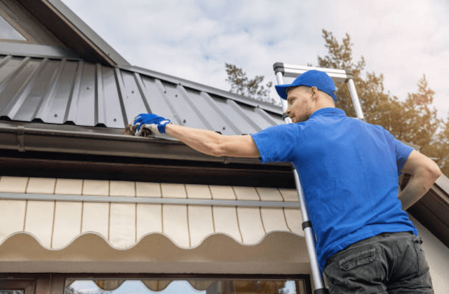 gutter cleaning in hamilton